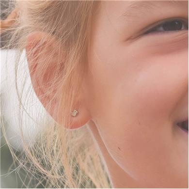 Boucles d'oreilles en argent- Canard