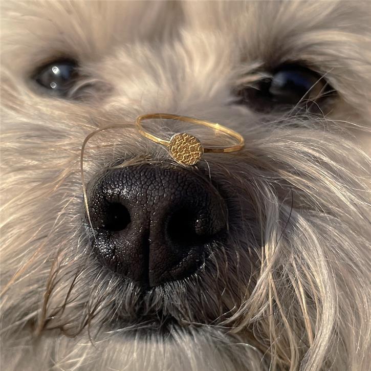 Snout and paw print jewelry